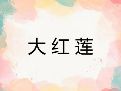大红莲