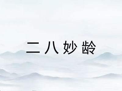 二八妙龄
