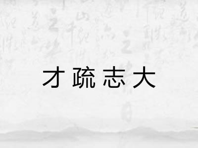 才疏志大
