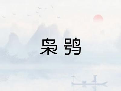 枭鸮