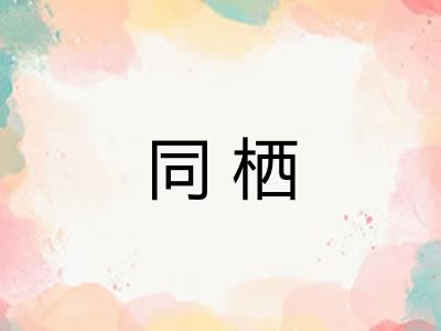 同栖