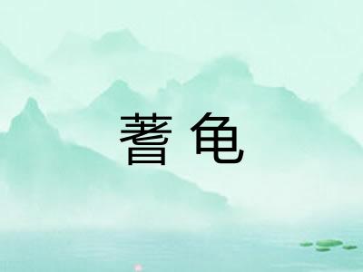 蓍龟