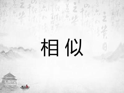 相似