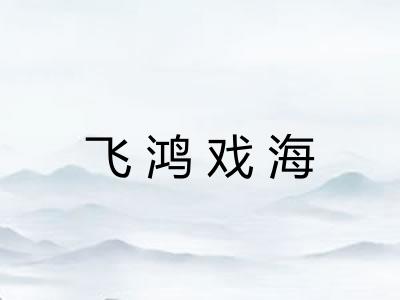 飞鸿戏海
