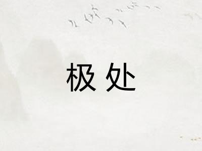极处