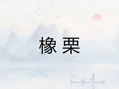 橡栗