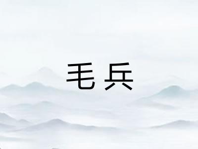 毛兵