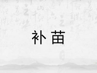 补苗