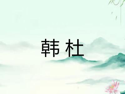 韩杜