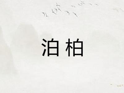 泊柏
