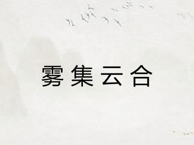 雾集云合