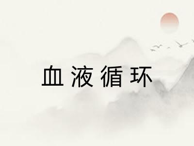 血液循环
