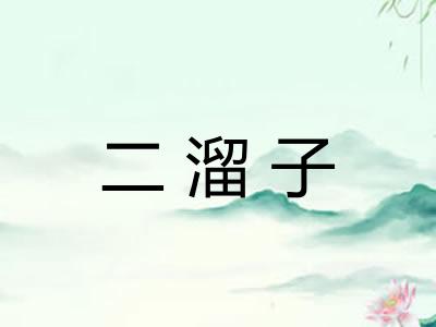 二溜子