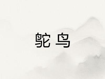 鸵鸟