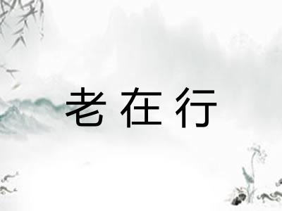 老在行