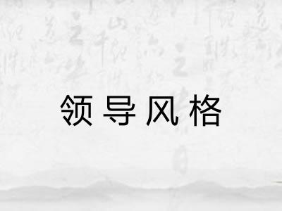 领导风格