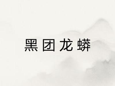 黑团龙蟒