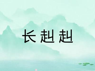 长赳赳
