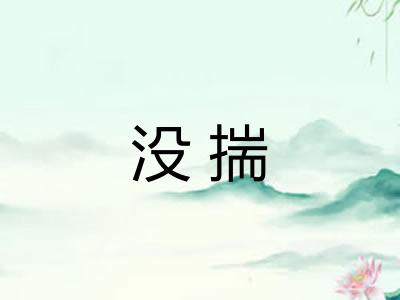 没揣
