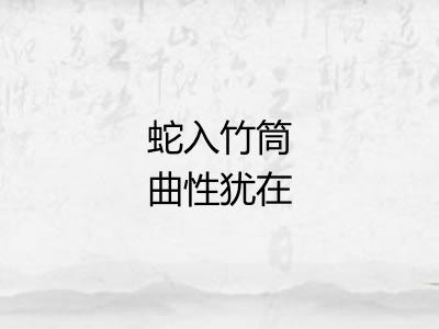 蛇入竹筒曲性犹在
