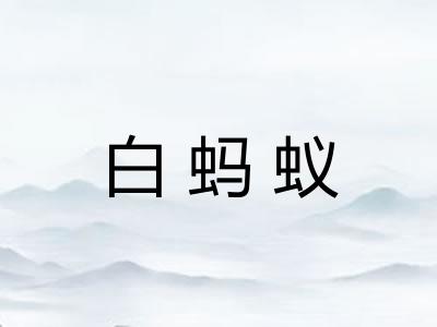 白蚂蚁