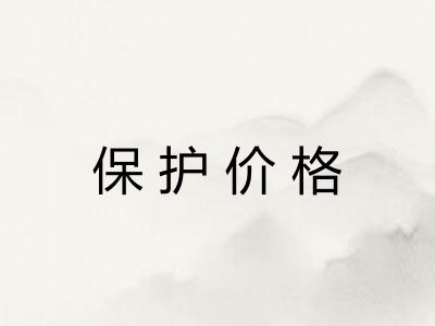 保护价格
