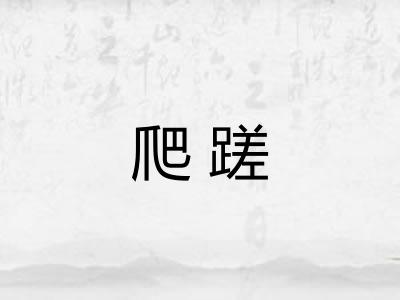 爬蹉