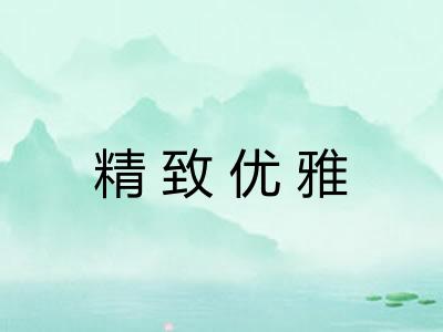 精致优雅