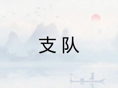 支队