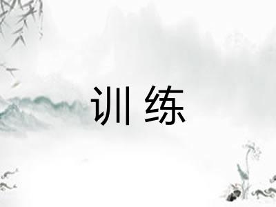 训练