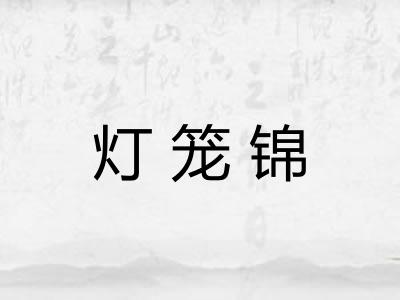 灯笼锦