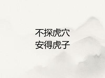 不探虎穴安得虎子