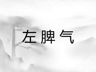 左脾气