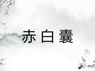 赤白囊