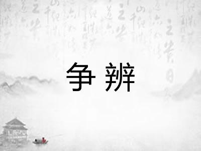 争辨