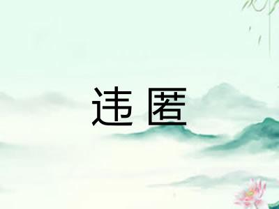违匿
