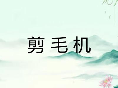 剪毛机