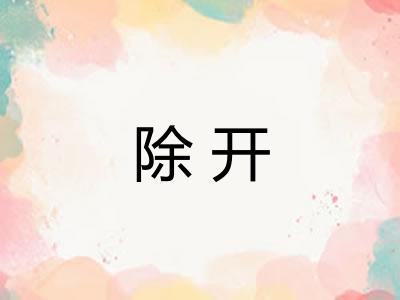 除开