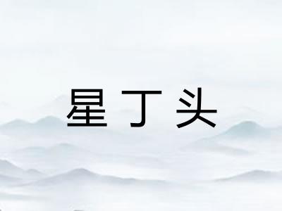 星丁头