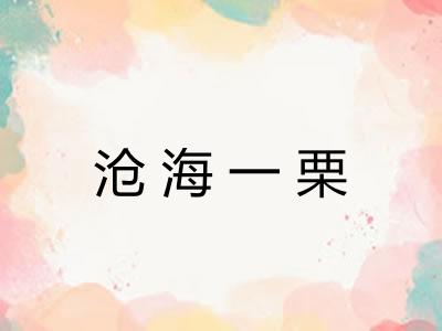 沧海一栗
