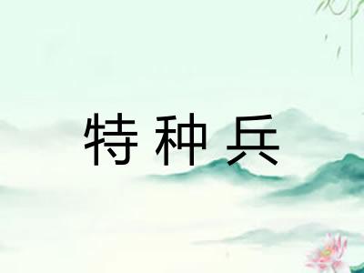 特种兵