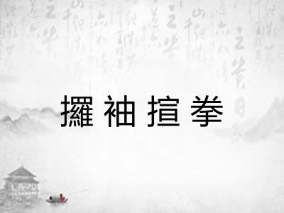 攞袖揎拳