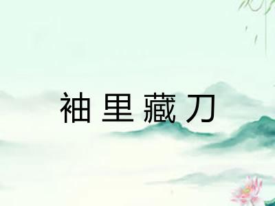 袖里藏刀