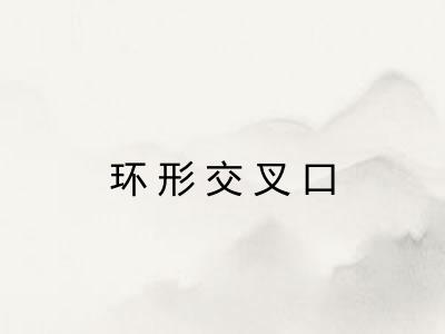 环形交叉口