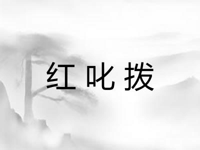 红叱拨