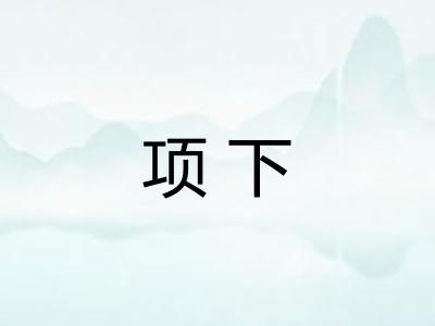 项下
