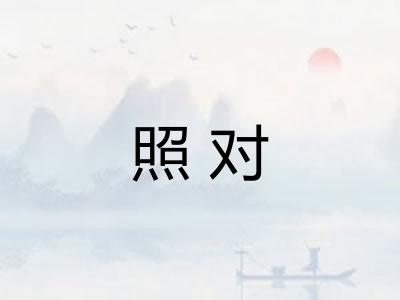 照对