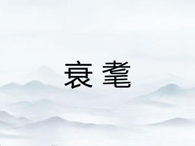 衰耄