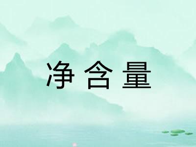 净含量