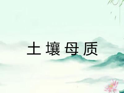 土壤母质